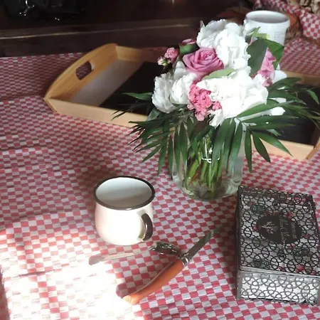 A La Campagne Andre De Chalencon * Saint-Andre-de-Chalencon