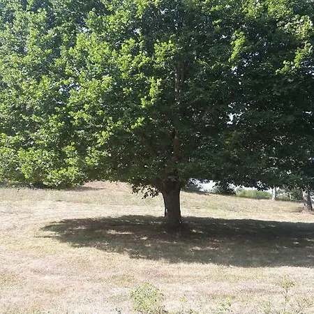 à La Campagne André De Chalencon