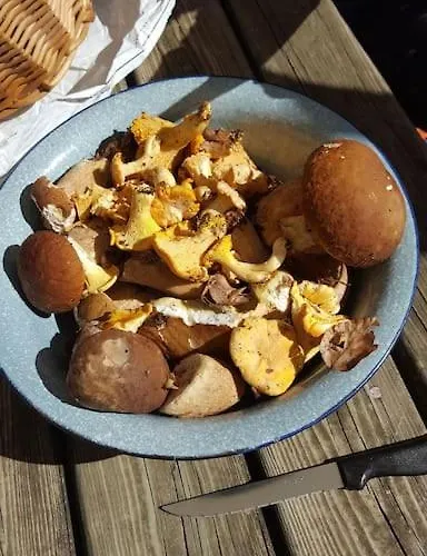 A La Campagne Andre De Chalencon Accommodatie bij particulieren