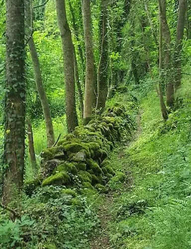 A La Campagne Andre De Chalencon Accommodatie bij particulieren *