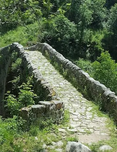A La Campagne Andre De Chalencon Saint-Andre-de-Chalencon