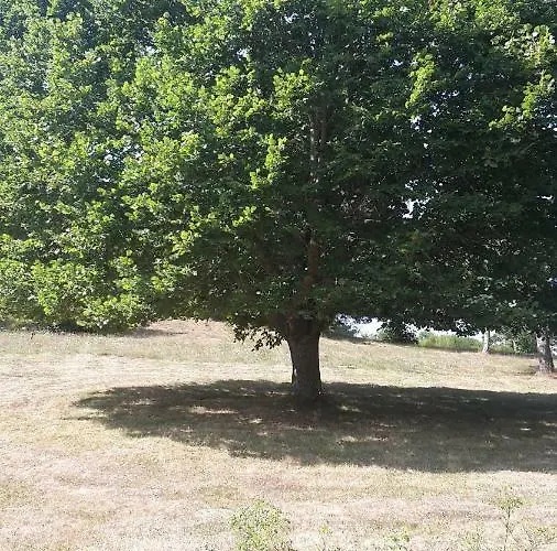 A La Campagne Andre De Chalencon